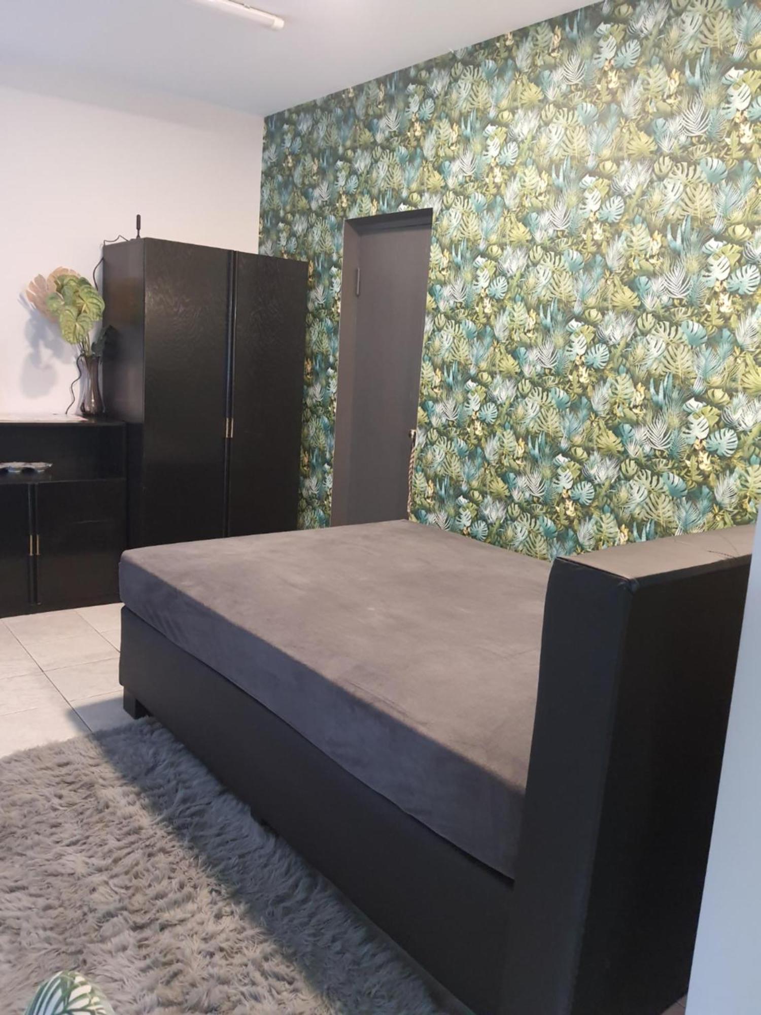 Jaukus Ir Kokybiskas Butas Panevezio Centre Apartment ปาเนเวชิส ภายนอก รูปภาพ